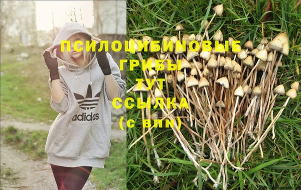 амфетамин Новозыбков