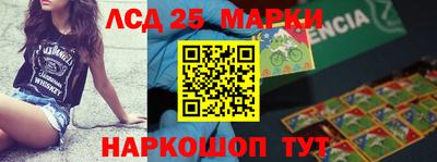 мдпв Камышлов