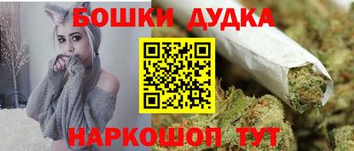 мдпв Камышлов