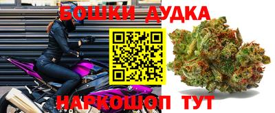 apvp Кандалакша