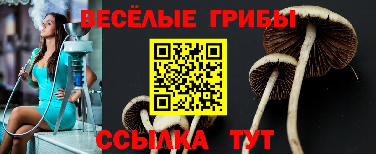 Галлюциногенные грибы Cubensis Переславль-Залесский